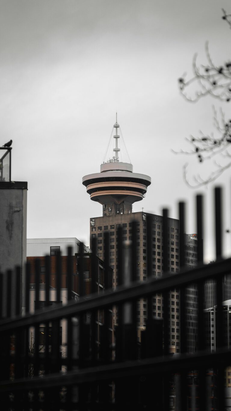 pexels-mgnationstudios-29531455